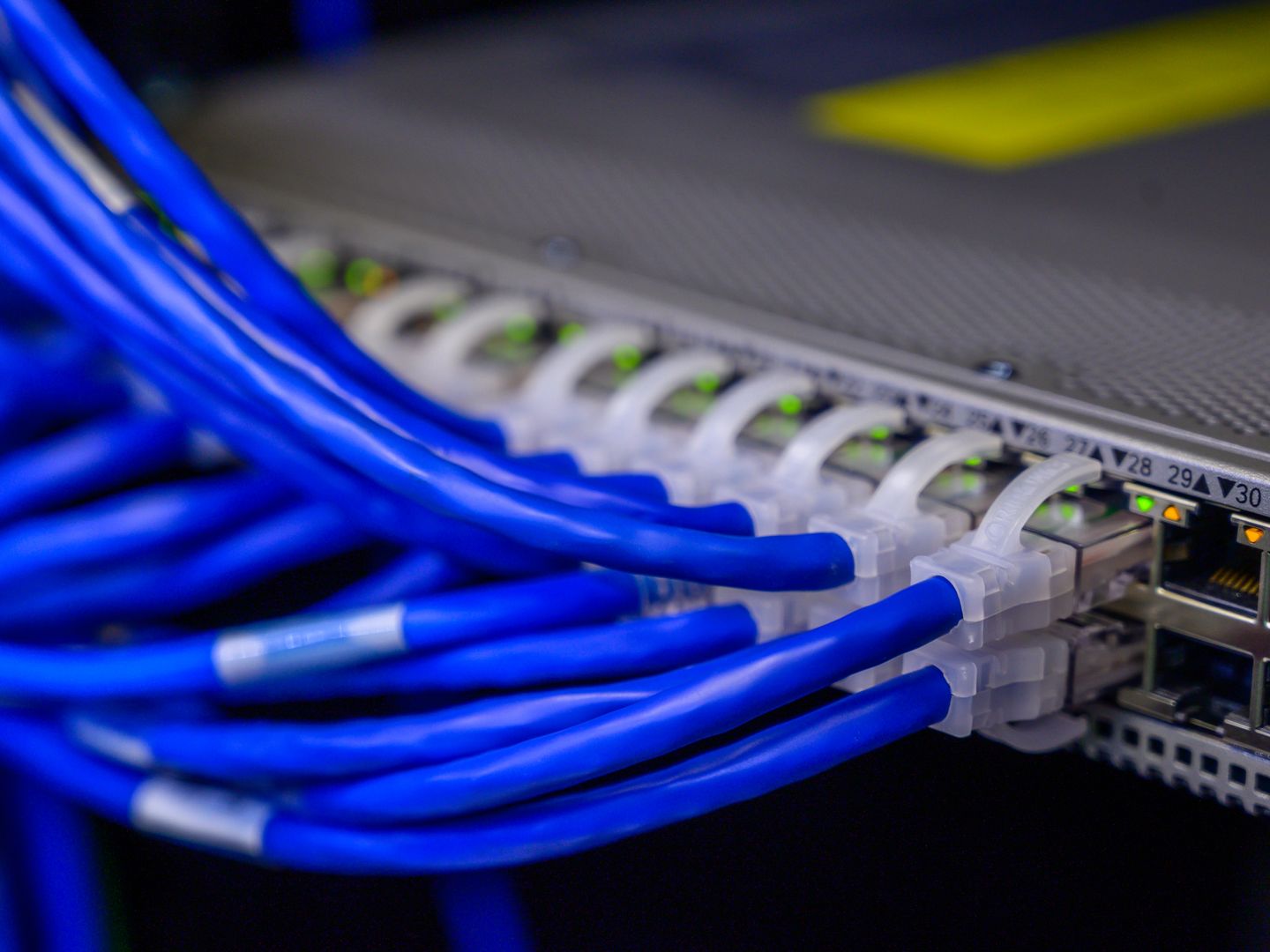 Detailed view of blue ethernet cables connected to a network switch in a data center.